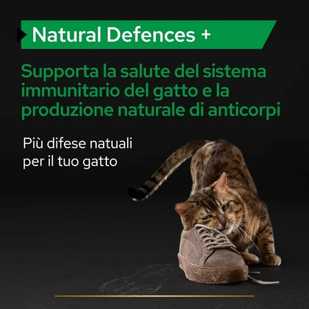 Purina Pro Plan Supplements Natural Defenses with Postbiotics for Adult Cats, 60 g