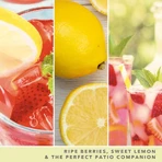 Yankee Candle Iced Berry Lemonade - Signature-kaars in beker met 5 lonten, 340 g