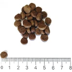 Prolife Lifestyle Kitten met kip en rijst - Compleet kattenvoer, 1,5 kg