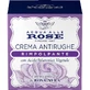 Plumping Rose Water - Anti-rimpel gezichtscrème voor de rijpere huid, 50 ml