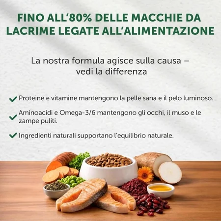 Nature’s Protection Superior Care pentru câini albi adulți, cu aromă de somon – hrană uscată completă pentru câini adulți de talie mică, 10 kg