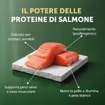 Nature’s Protection Superior Care pentru câini albi adulți, cu aromă de somon – hrană uscată completă pentru câini adulți de talie mică, 10 kg