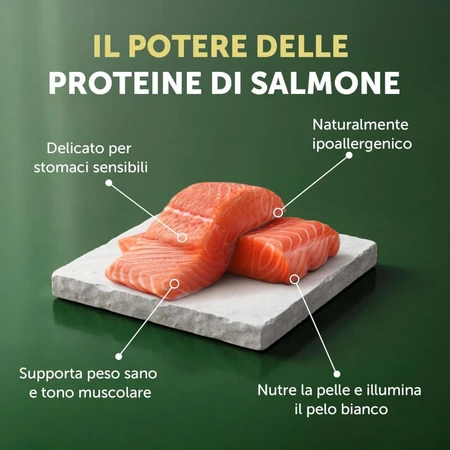 Nature’s Protection Superior Care pentru câini albi adulți, cu aromă de somon – hrană uscată completă pentru câini adulți de talie mică, 10 kg