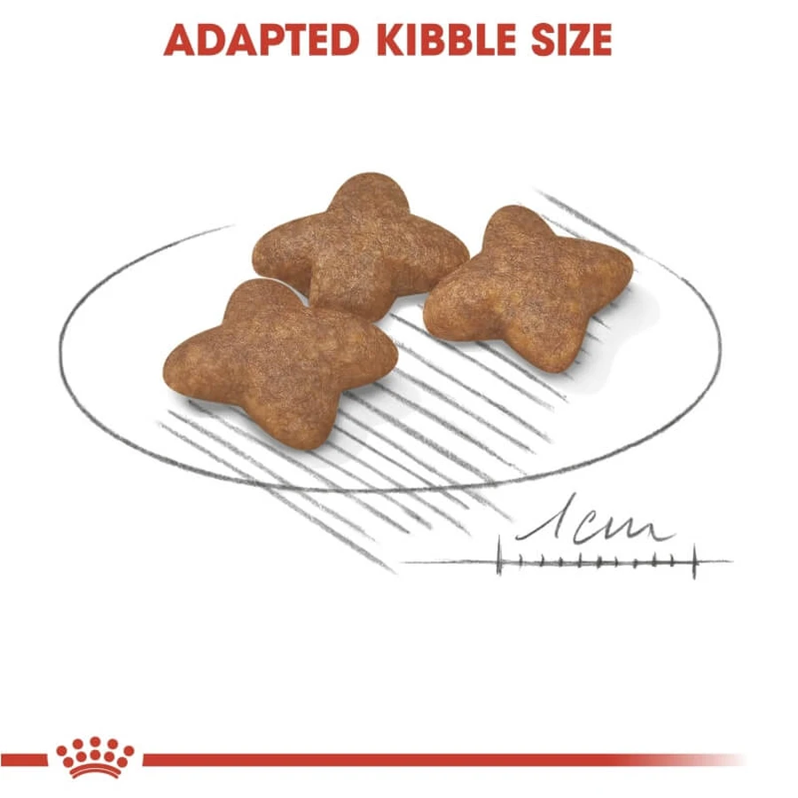 Royal Canin Mini Adult - Compleet voer voor kleine volwassen honden, 4 kg