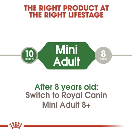 Royal Canin Mini Adult - Compleet voer voor kleine volwassen honden, 4 kg