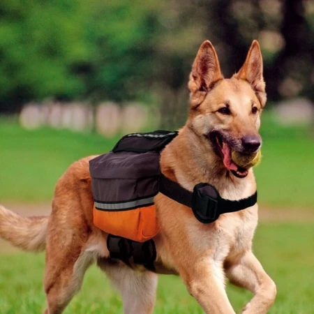 Ferplast Dog Scout – Nylon-Rucksack für mittelgroße und große Hunde mit reflektierenden Streifen