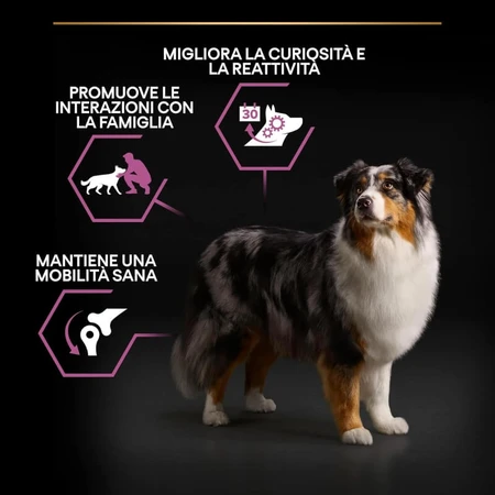Purina Pro Plan Age Defense Medium &amp; Large Adult 7+ Huhn – Alleinfuttermittel für Hunde 14 kg
