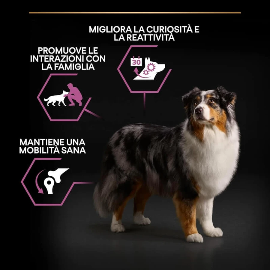 Purina Pro Plan Age Defense Medium &amp; Large Adult 7+ Huhn – Alleinfuttermittel für Hunde 14 kg