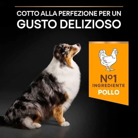 Purina Pro Plan Age Defense Medium &amp; Large Adult 7+ Huhn – Alleinfuttermittel für Hunde 14 kg