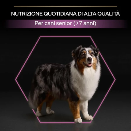 Purina Pro Plan Age Defense Medium &amp; Large Adult 7+ Huhn – Alleinfuttermittel für Hunde 14 kg