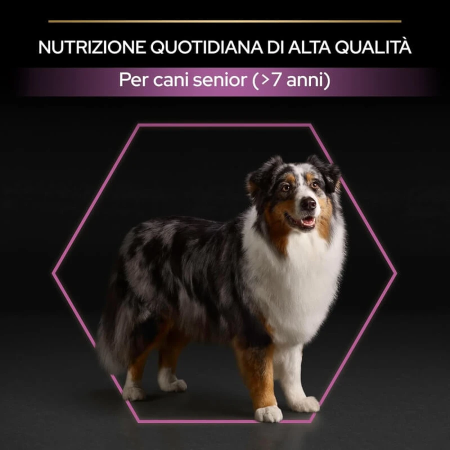 Purina Pro Plan Age Defense Medium &amp; Large Adult 7+ Huhn – Alleinfuttermittel für Hunde 14 kg