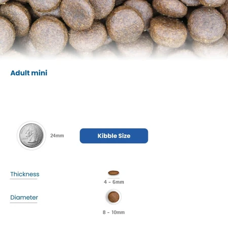 Farmina N&amp;d Ocean Adult Mini Kabeljauw, Pompoen en Sinaasappel - Compleet voer voor kleine volwassen honden, 800 g