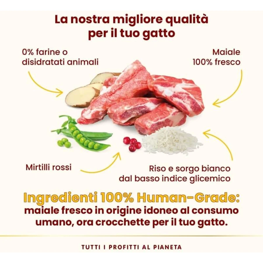 Almo Nature HFC « Our Best » au porc stérilisé - Aliment complet pour chats adultes stérilisés, 1,2 kg