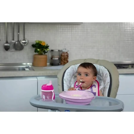 Chicco Set of 2 Bibs for Mealtime, 6m+ - Pink