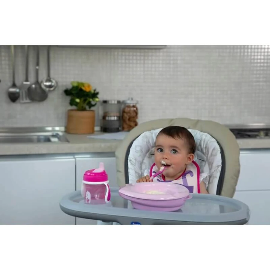 Chicco Set of 2 Bibs for Mealtime, 6m+ - Pink