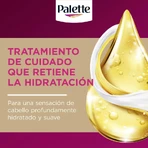 Crèmes colorantes intensives Palette - Coloration permanente n° 5.6 Brun caramel