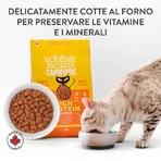 Schesir Born Huhn & Ei für Fleischfresser – Alleinfuttermittel für Katzen, 255 g