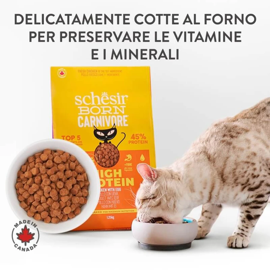 Schesir Born Huhn & Ei für Fleischfresser – Alleinfuttermittel für Katzen, 255 g