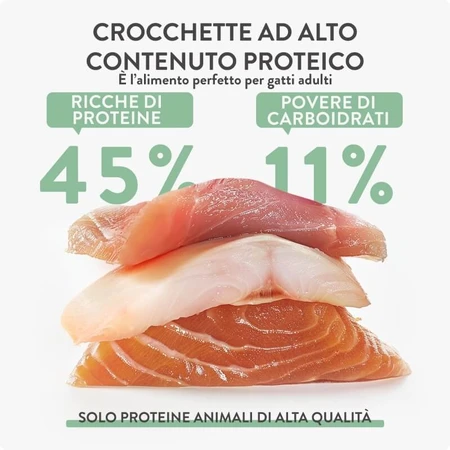 Schesir Born Huhn & Ei für Fleischfresser – Alleinfuttermittel für Katzen, 255 g