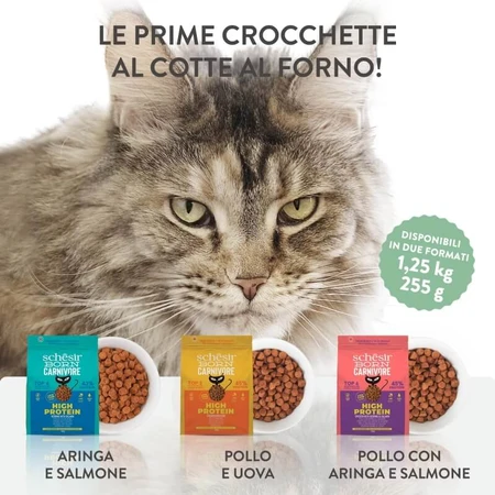 Schesir Born Huhn & Ei für Fleischfresser – Alleinfuttermittel für Katzen, 255 g