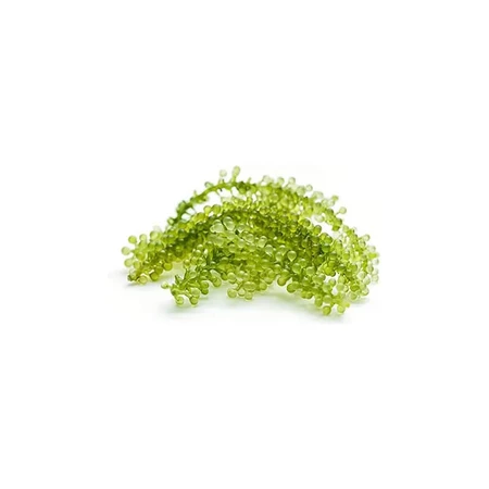 Alterna My Hair My Canvas Shine On – Haarschaum 145 g