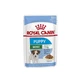 Royal Canin Puppy Mini - Natvoer voor puppy's en jonge honden van kleine rassen, 85 g