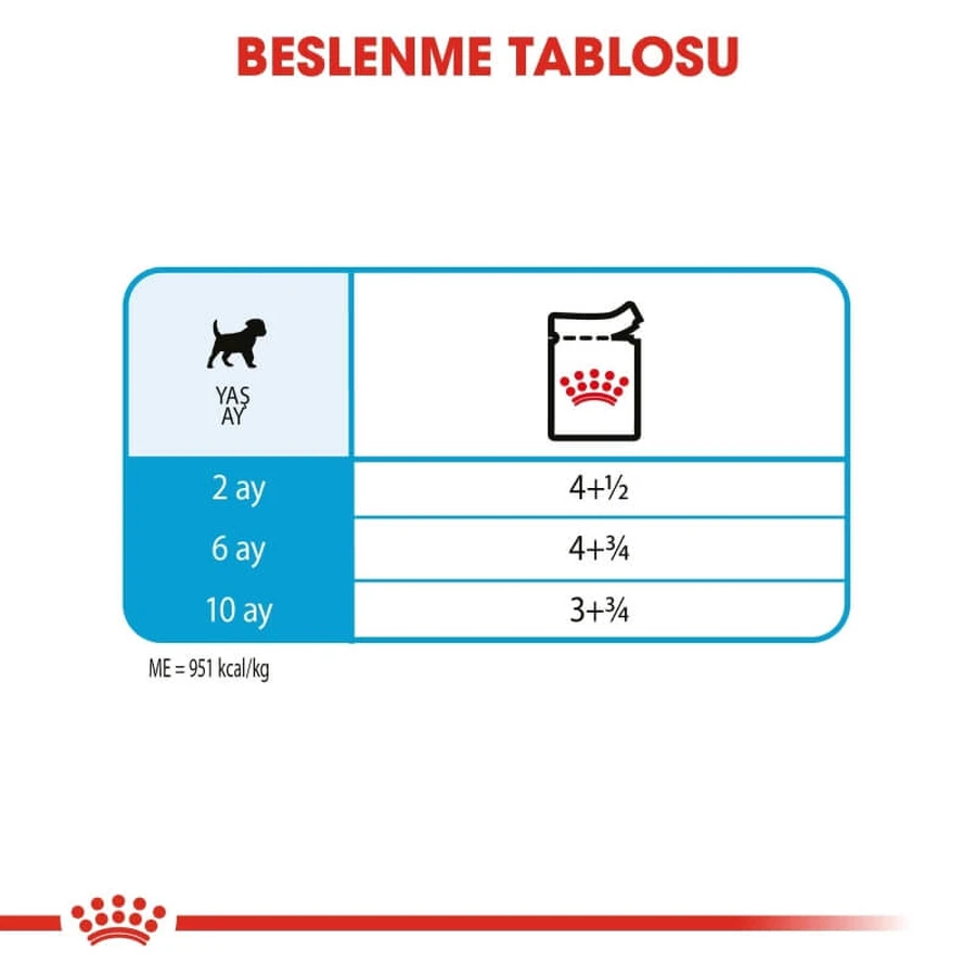 Royal Canin Puppy Mini – Nassfutter für Welpen und junge Hunde kleiner Rassen, 85 g