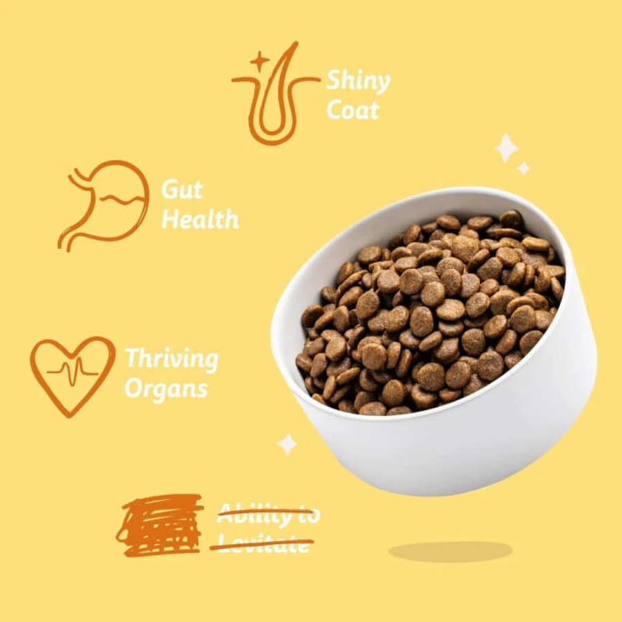 Edgard & Cooper Hondenvoer voor volwassen honden van middelgroot formaat met verse biologische kalkoen en kip, glutenvrij, 7 kg