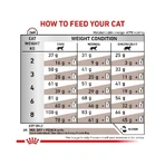 Royal Canin Veterinary Gastrointestinal - Complete Food for Cats with Digestive Disorders, 4 kg