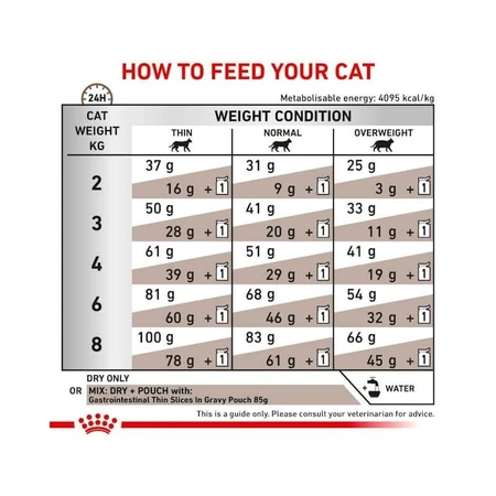 Royal Canin Veterinary Gastrointestinal - Complete Food for Cats with Digestive Disorders, 4 kg