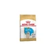 Royal Canin Golden Retriever Junior - Droogvoer voor honden, 12 kg.