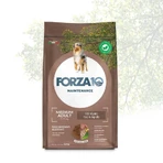 Forza10 Medium-Adult Maintenance Lamb hondenvoer – Compleet voer voor volwassen honden, 12 kg