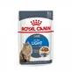 Royal Canin Ultra Light in Sauce - Wet Cat Food, 85 g