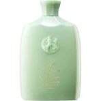 Oribe Reinigingscrème voor hydratatie en controle - Shampoo voor kroezend haar, 250 ml