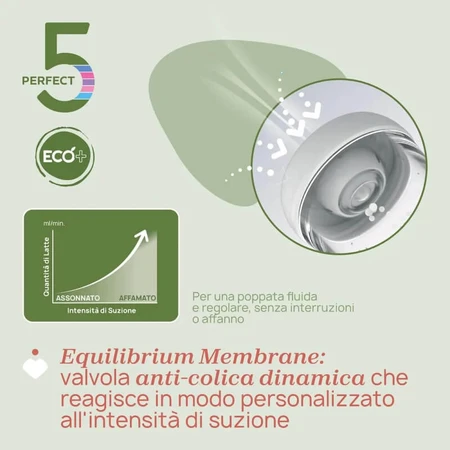 Chicco Perfect 5 Eco+ - Biberón de flujo medio, 240 ml, verde