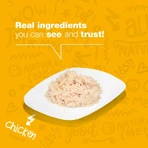 Natural Code 01 fileuri de pui – hrană completă pentru pisici adulte, 85 g