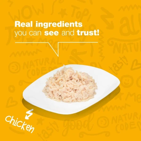 Natural Code 01 fileuri de pui – hrană completă pentru pisici adulte, 85 g
