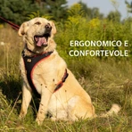 Ferplast Ergocomfort p medium rossa - pettorina ergonomica microregolabile