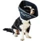 Candioli Comfy Cone - Collier élisabéthain innovant, souple et réfléchissant pour petits chiens et chats, 14 cm
