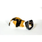 Candioli Comfy Cone - Collier élisabéthain innovant, souple et réfléchissant pour petits chiens et chats, 14 cm