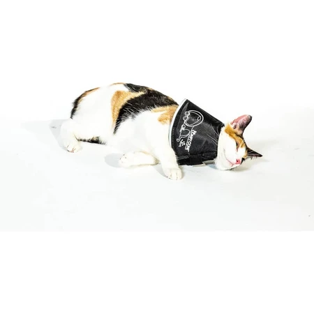 Candioli Comfy Cone - Collier élisabéthain innovant, souple et réfléchissant pour petits chiens et chats, 14 cm