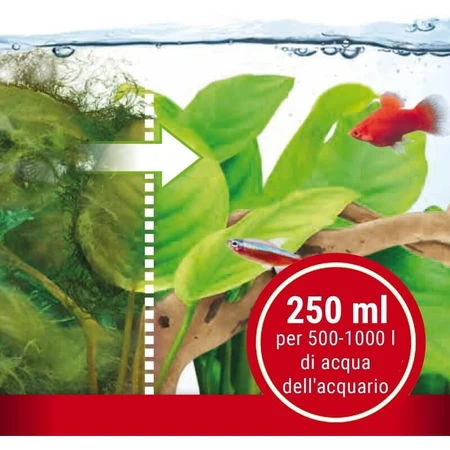 Tetra Algumin - Complete Algae Treatment for Freshwater Aquariums, 250 ml
