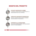 Royal Canin Gastrointestinal High Fiber - Natvoer voor honden met spijsverteringsproblemen, 410 g