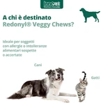 Innovet Redonyl Veggy 90 Soft Chews: un complemento alimenticio para perros y gatos que favorece la salud de la piel y el pelaje