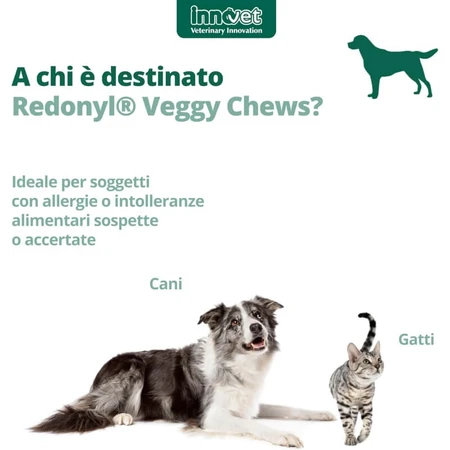 Innovet Redonyl Veggy 90 Soft Chews: un complemento alimenticio para perros y gatos que favorece la salud de la piel y el pelaje