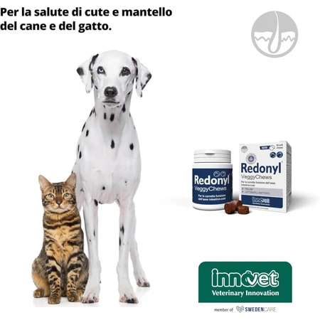 Innovet Redonyl Veggy 90 Soft Chews: un complemento alimenticio para perros y gatos que favorece la salud de la piel y el pelaje