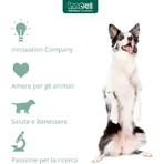 Innovet Redonyl Veggy 90 Soft Chews: un complemento alimenticio para perros y gatos que favorece la salud de la piel y el pelaje