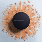 Diego Transparent Loose Powder No. 02