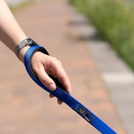 Ferplast Daytona g20-120 Bleu - Laisse en nylon avec poignée ergonomique rembourrée et porte-sac intégré, 2 cm x 120 cm