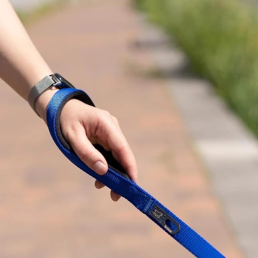 Ferplast Daytona g20-120 Bleu - Laisse en nylon avec poignée ergonomique rembourrée et porte-sac intégré, 2 cm x 120 cm